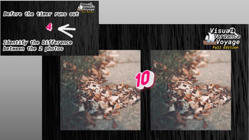 Visual Variance Voyage: Fall Edition